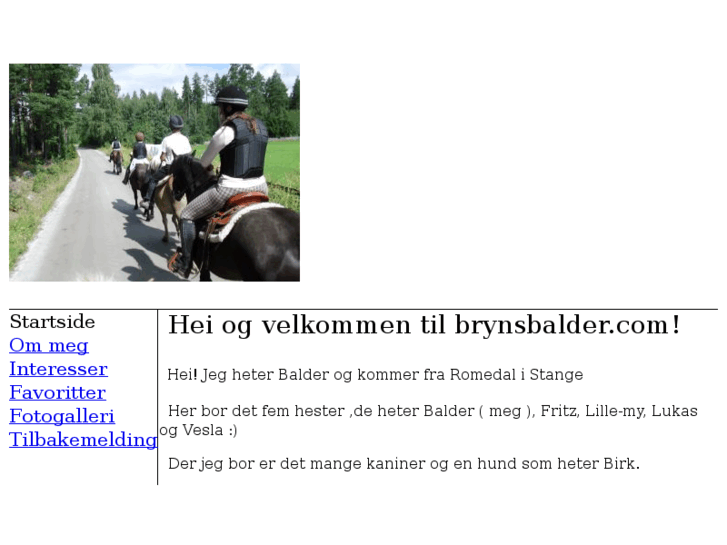 www.brynsbalder.com