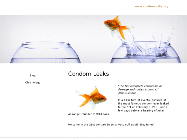 www.condomleaks.org