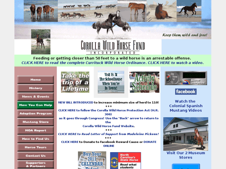 www.corollawildhorses.com