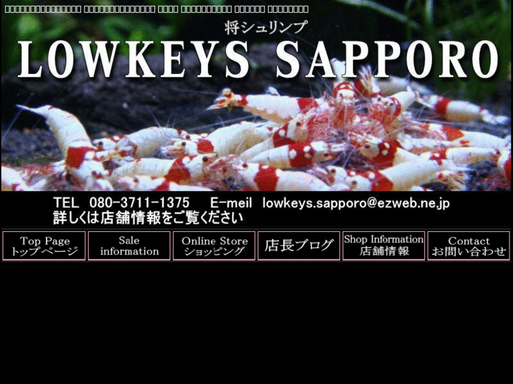 www.lowkeys-sapporo.com