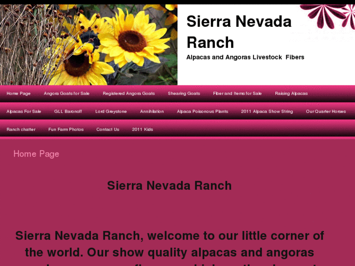 www.sierranevadaranch.com