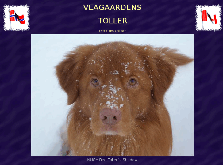 www.vedgaardenstoller.com