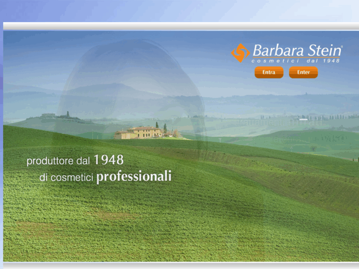 www.barbarastein.com