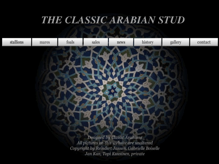 www.classic-arabians.com