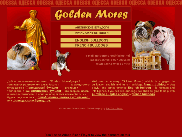 www.goldenmores.com