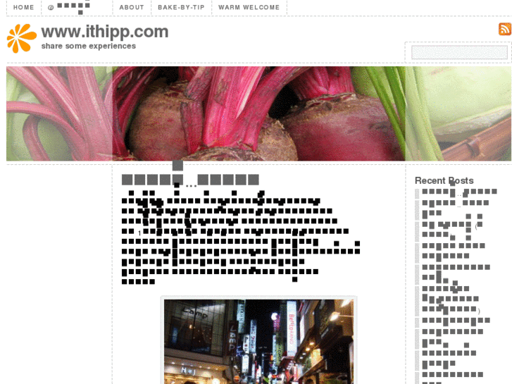 www.ithipp.com