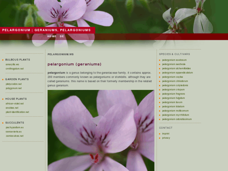 www.pelargonium.ws