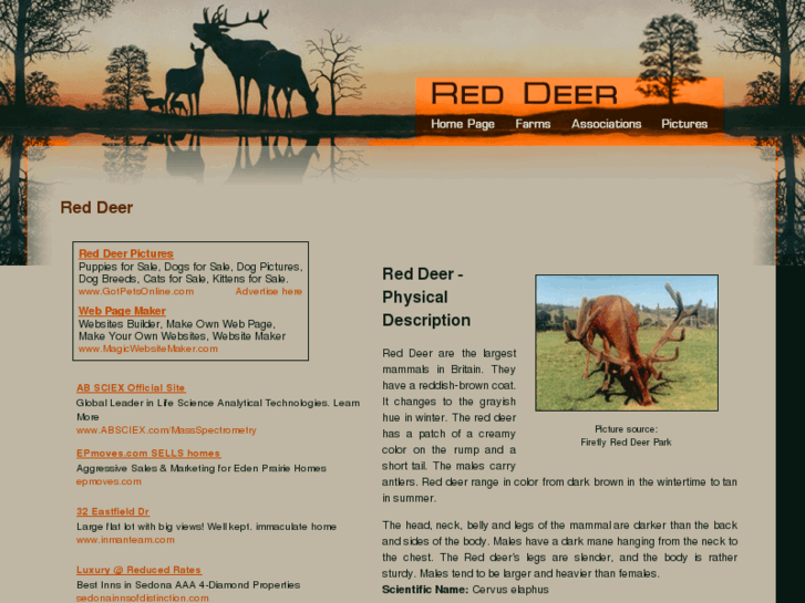 www.red-deer.org