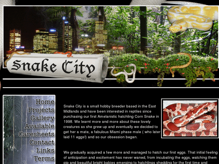 www.snake-city.com