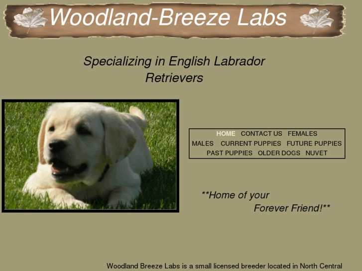 www.woodlandbreezelabs.com