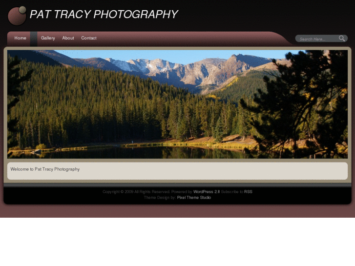 www.pattracyphotography.com