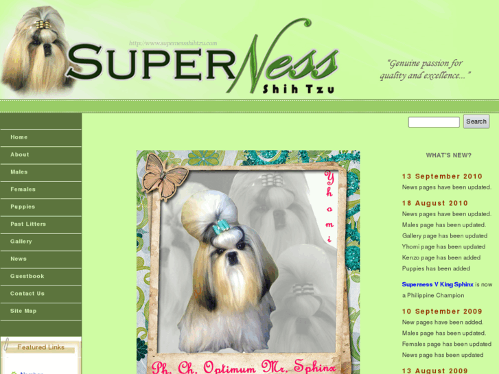 www.supernessshihtzu.com