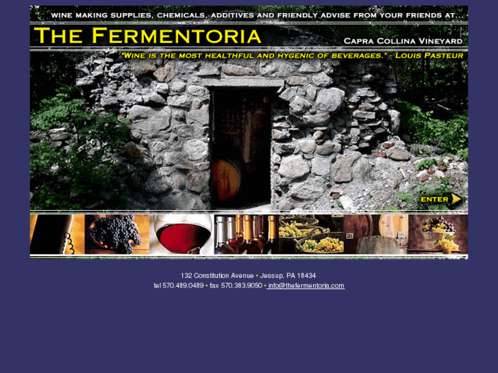 www.thefermentoria.com