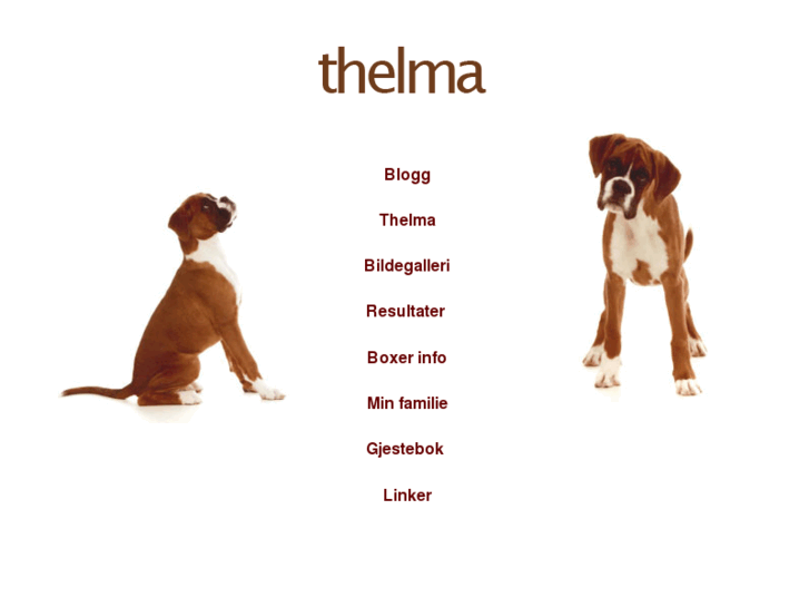 www.thelma.be