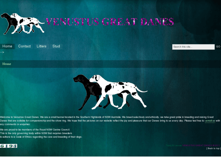 www.venustusgreatdanes.com