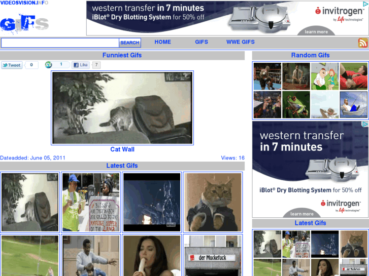 www.videosvision.info