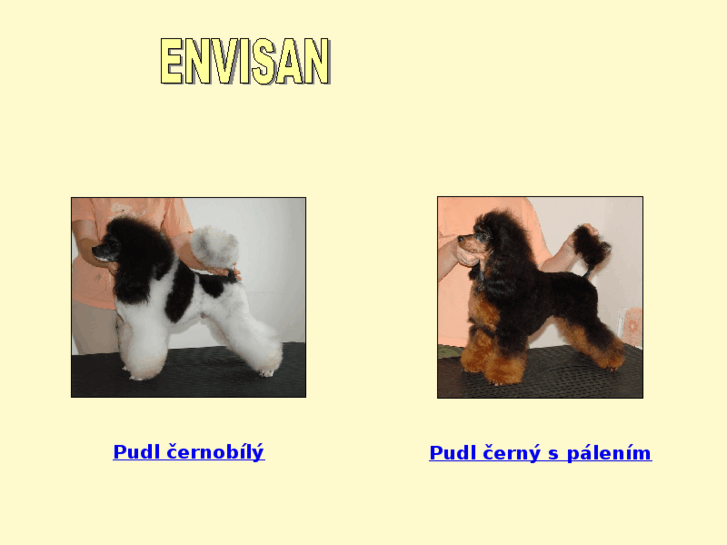 www.envisan-cz.com