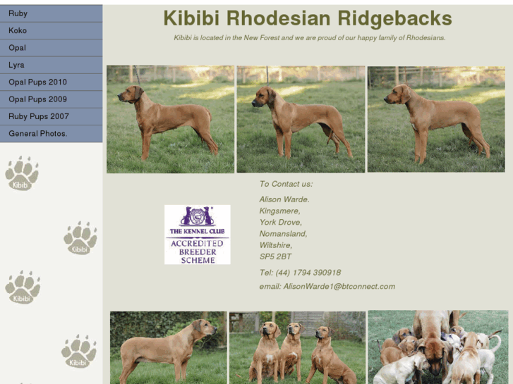 www.kibibiridgebacks.com