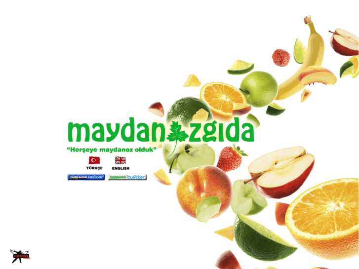 www.maydanozgida.com