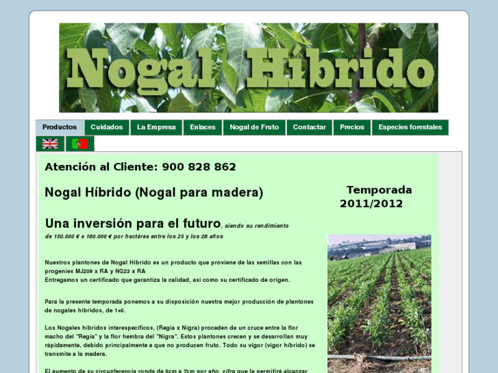 www.nogalhibrido.com