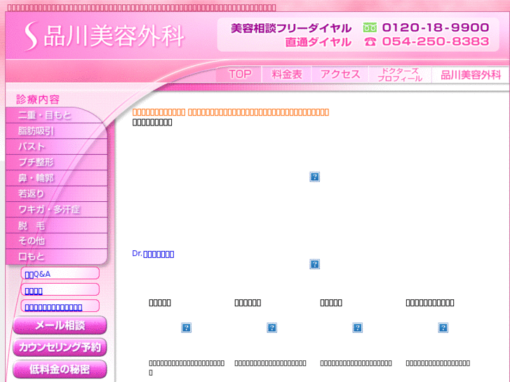 www.shinagawa-shizuoka.com