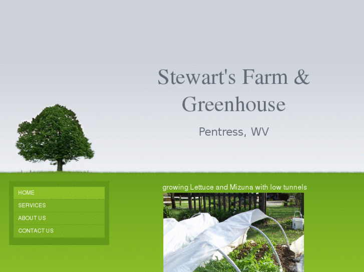 www.stewartsfarmwv.com