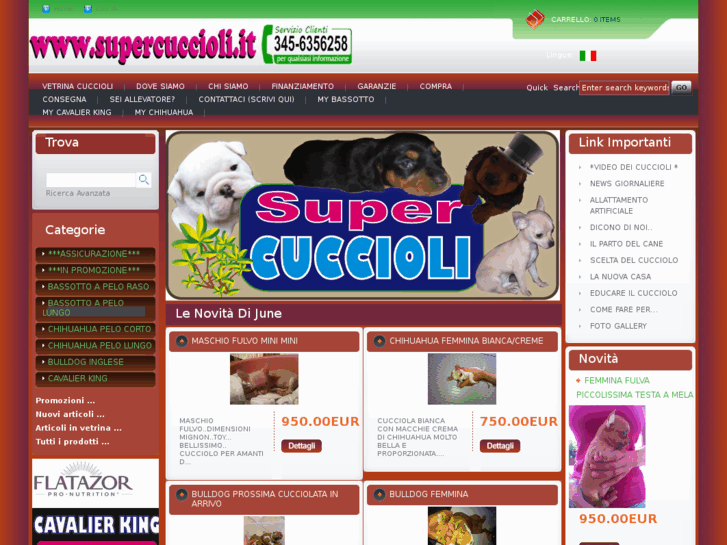 www.supercuccioli.it