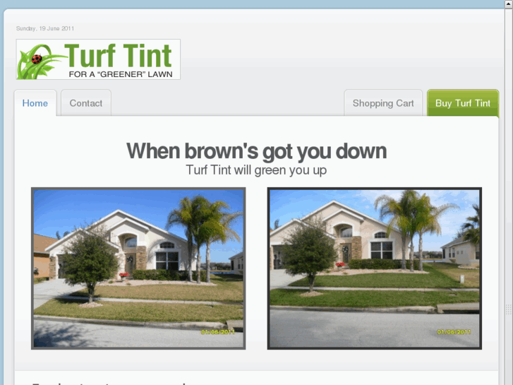 www.turftint.com