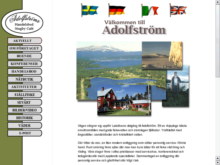 www.adolfstrom.com