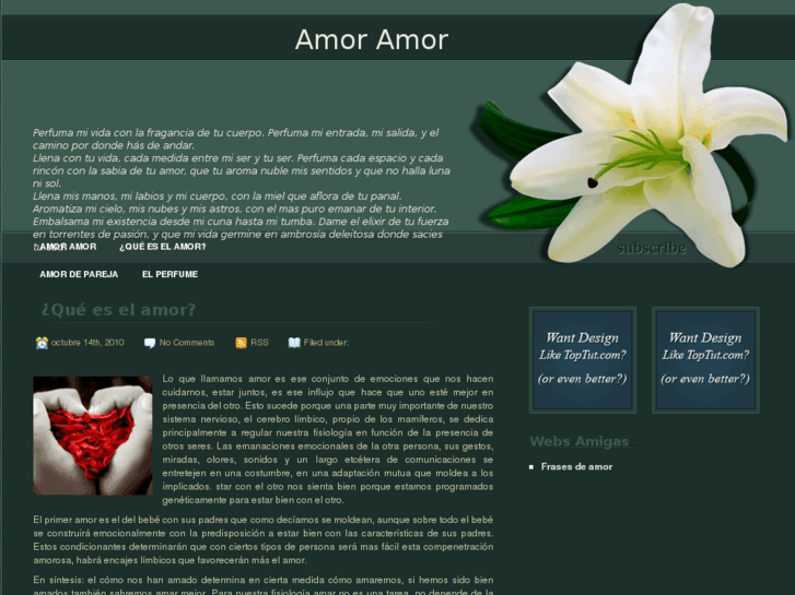 www.amoramor.info