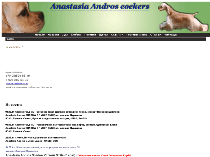 www.anastasia-andros.com