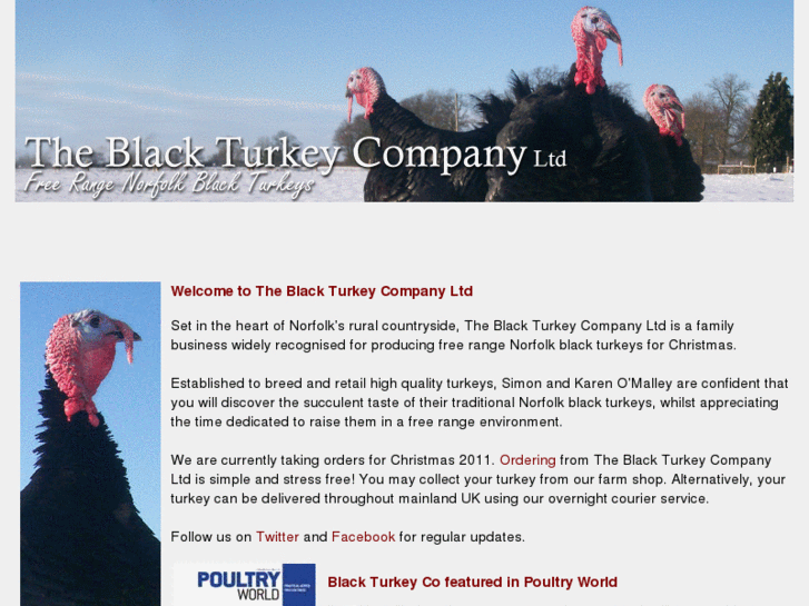 www.norfolkblackturkey.com