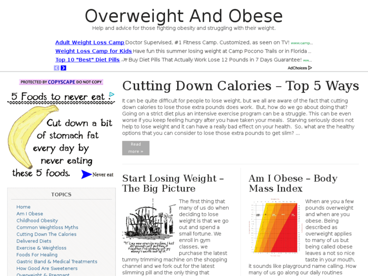 www.overweightobese.com