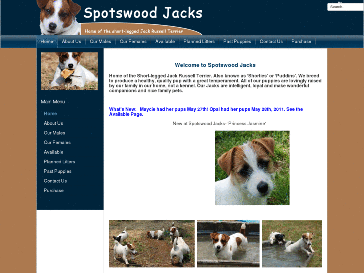 www.spotswoodjacks.com