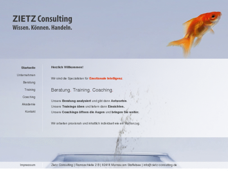 www.zietz-consulting.com