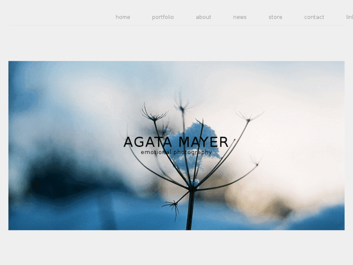 www.agatamayer.com