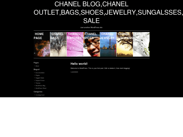 www.chanel-outlet.com