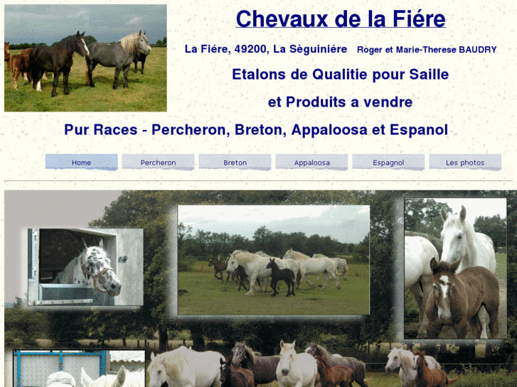 www.chevauxdelafiere.com