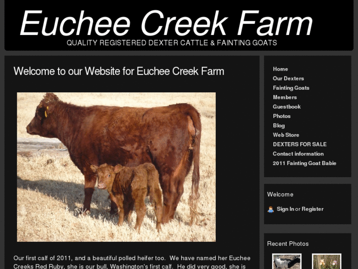 www.eucheecreekfarm.net