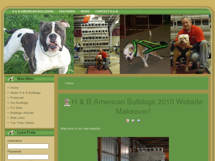 www.handbamericanbulldogs.com