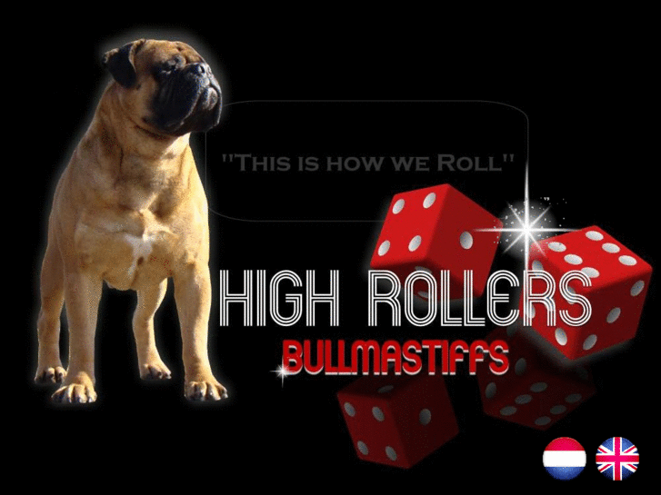 www.highrollersbullmastiffs.nl