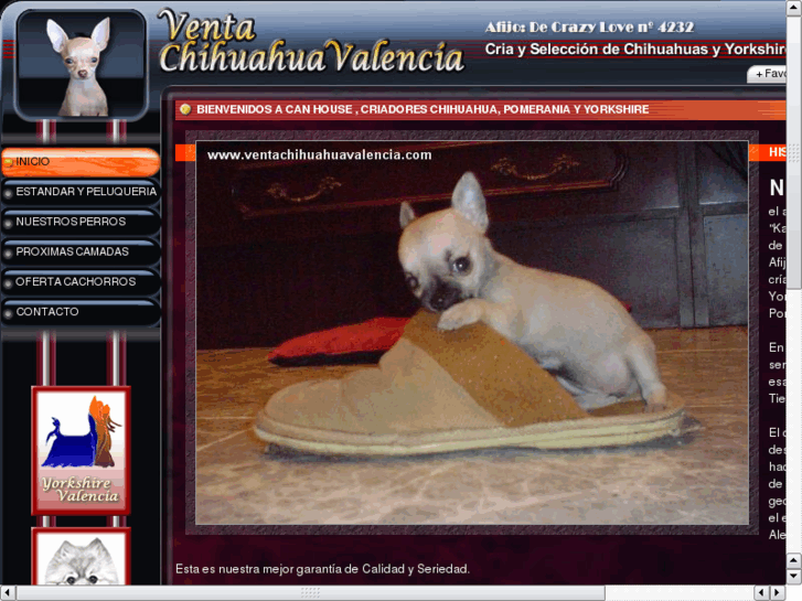 www.ventachihuahuavalencia.com