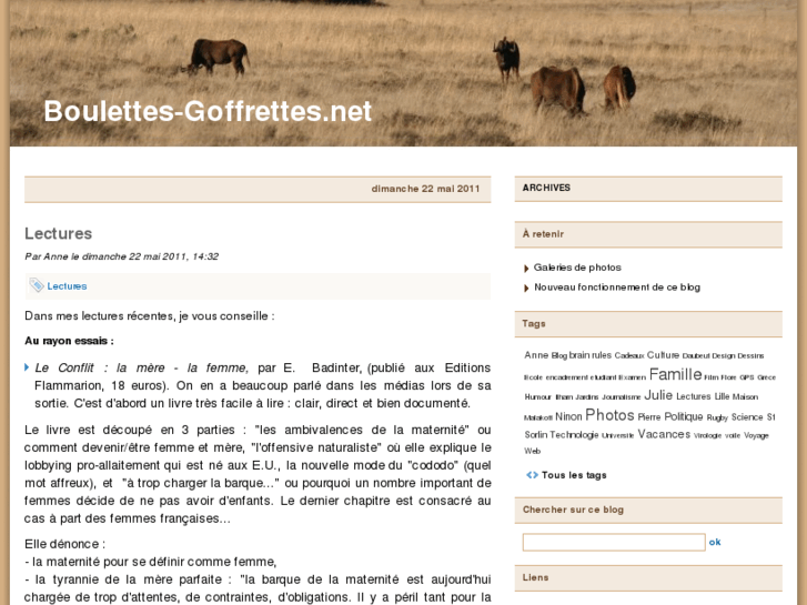 www.boulettes-goffrettes.net