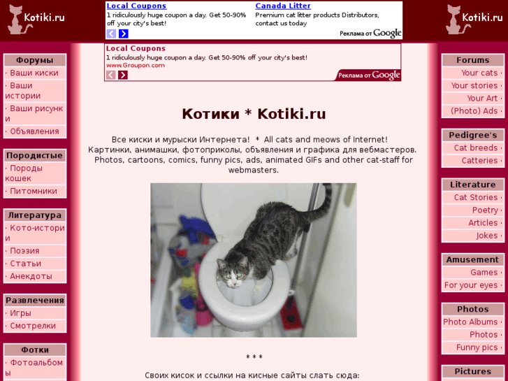 www.kotiki.ru