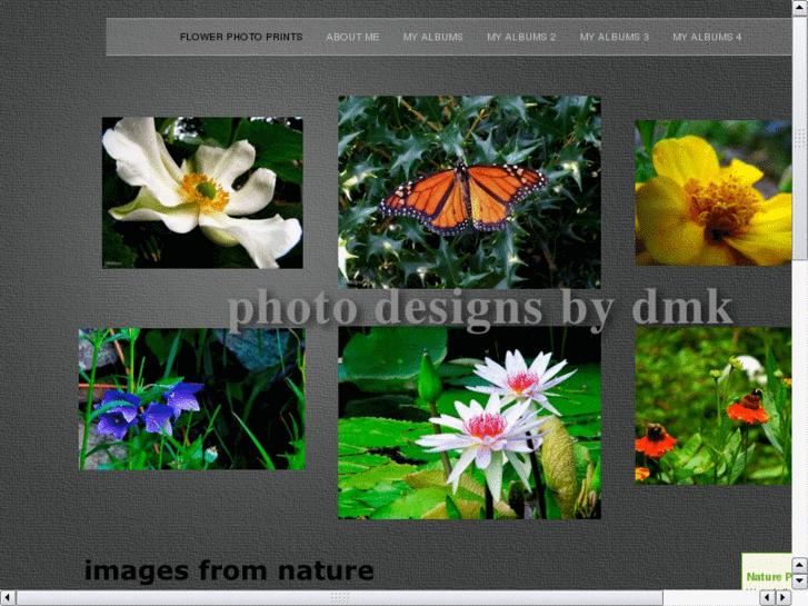 www.photodesignbydmk.com