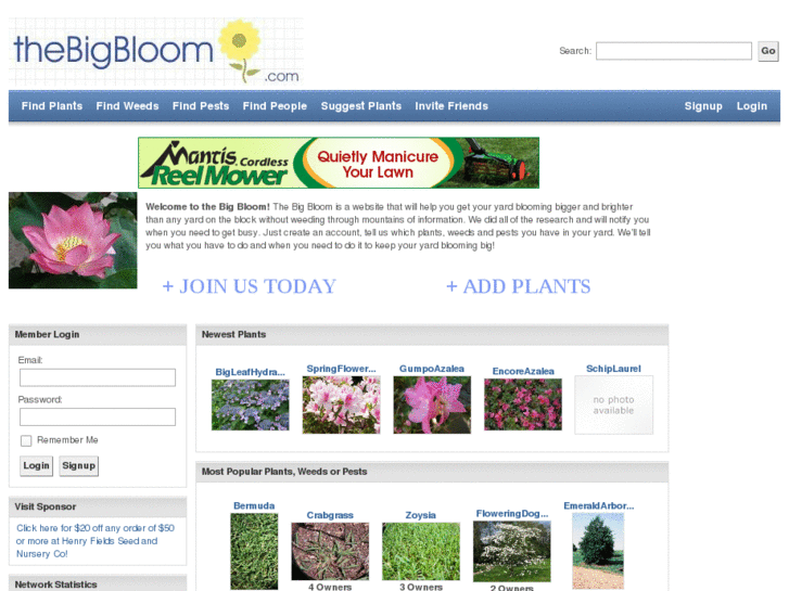 www.thebigbloom.com