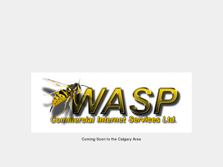 www.thewaspnet.net
