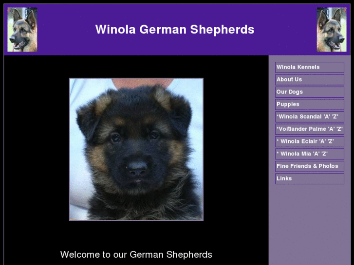 www.winolakennels.com