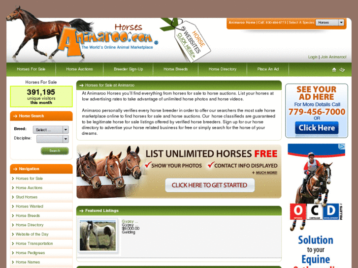 www.animaroohorses.com