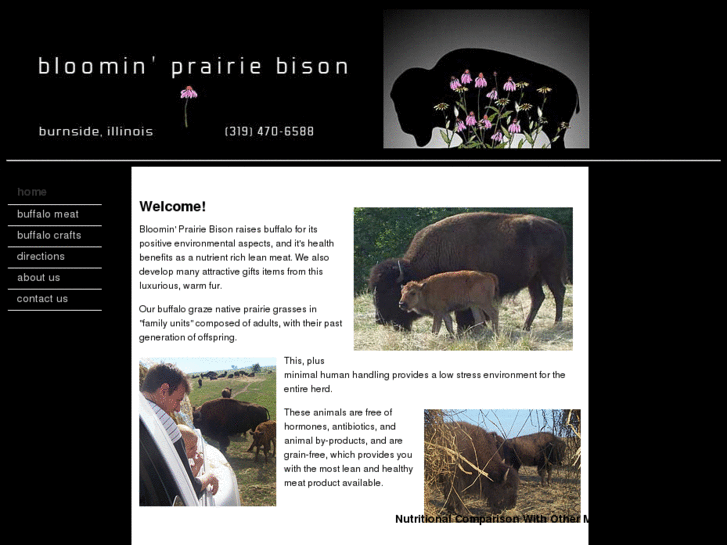 www.bloominprairiebison.com